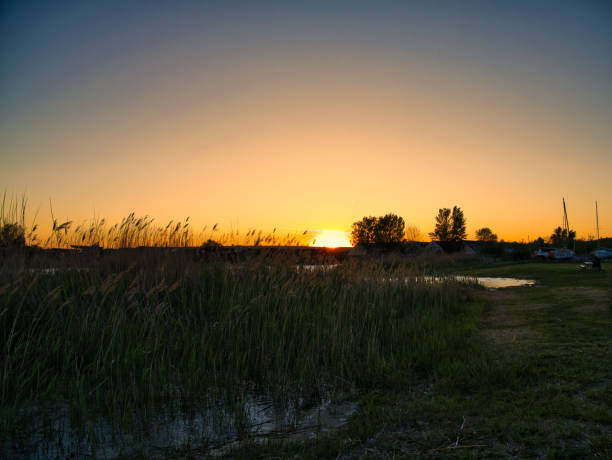 Sunrise and morning vibes at Lake Neusiedl in Austria