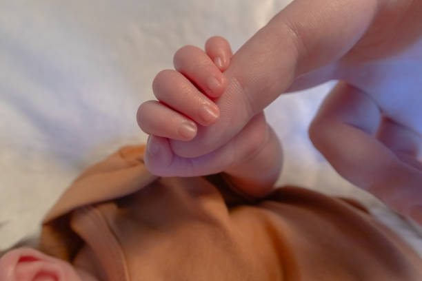 istock Infant hand holding finger of parent 2182523826