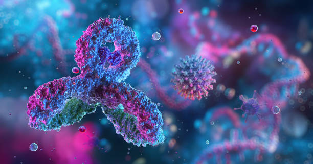 antibodies, immunoglobulin ig proteins 3d medical image. - lymfocyt stockfoto's en -beelden