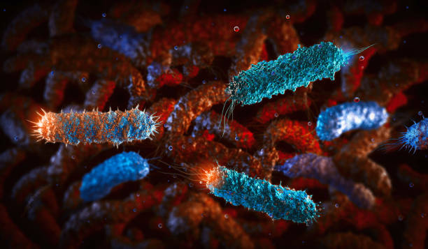 istock Pathogenic rod-shaped e.coli salmonella bacteria medical background 2182528882