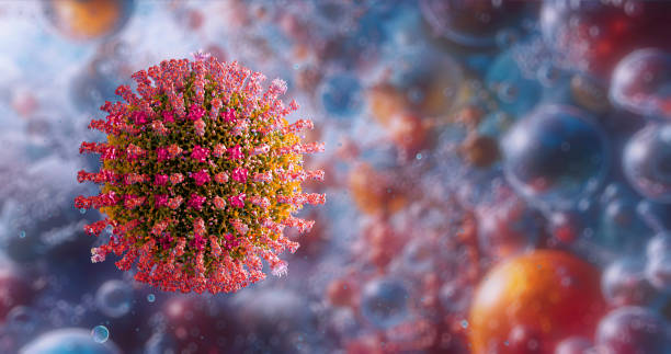 Measles morbilli virus infection outbreak, contagious rash Measles morbilli virus infection outbreak, contagious rash, global child MMR vaccination. Airborne pathogen imaging, public health at risk. Immunization, morbillivirus disease prevention, medical 3D measles stock pictures, royalty-free photos & images