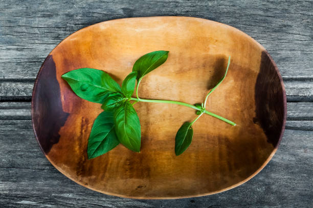 Fresh basil sprig with vibrant green leaves lies on a rustic, handcrafted wooden plate, set against a weathered wooden background, creating a simple yet elegant culinary scene
