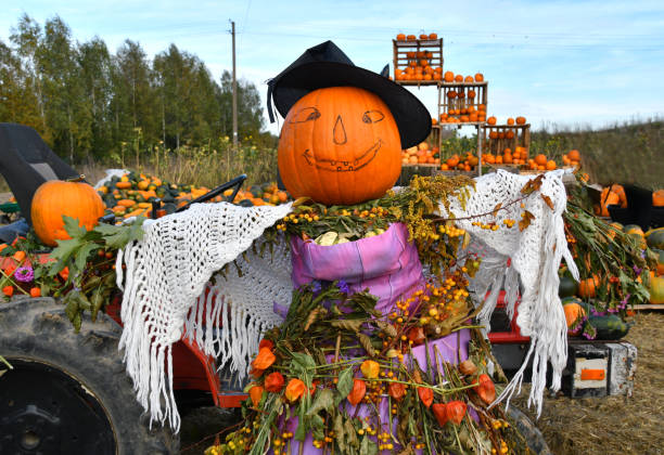 istock welcoming scarecrow at the pumpkin patch on Halloween holiday 2182535123