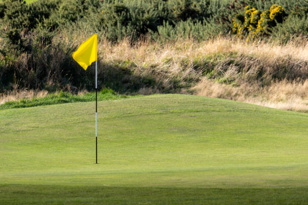 istock A yellow flag is on a green golf field 2182536953