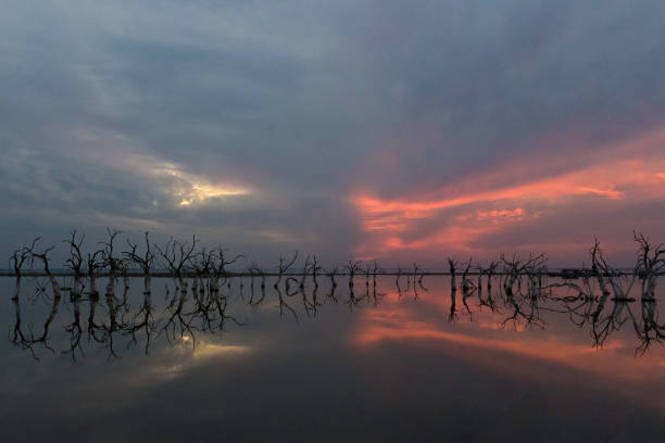 istock Sunset on a lagoon with dead trees 2182538388