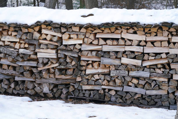 stacking fire wood in the back yard with snow on top