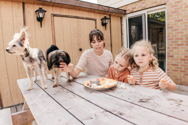 istock Happy everyday family moments 2182549369