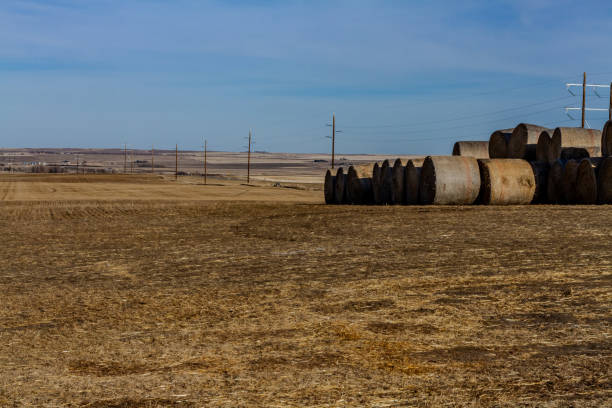 istock Field with string wrapped round bales in haystack, and row of electricity poles and power lines in background 2182550098