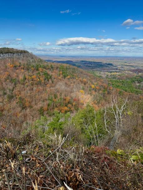 istock Scenic grassy meadow and stream creek view at Windham Path in Catskill Mountains in the Upstate region New York. 2182551321