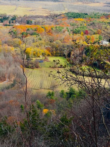 istock Scenic grassy meadow and stream creek view at Windham Path in Catskill Mountains in the Upstate region New York. 2182551504