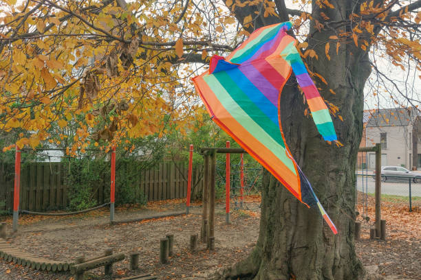 A torn flying kite stuck on the branches of a tree. close-up
