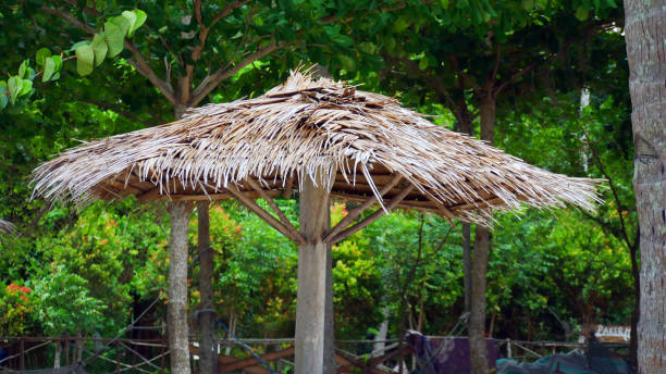 thatched roofs as umbrellas on the beach
