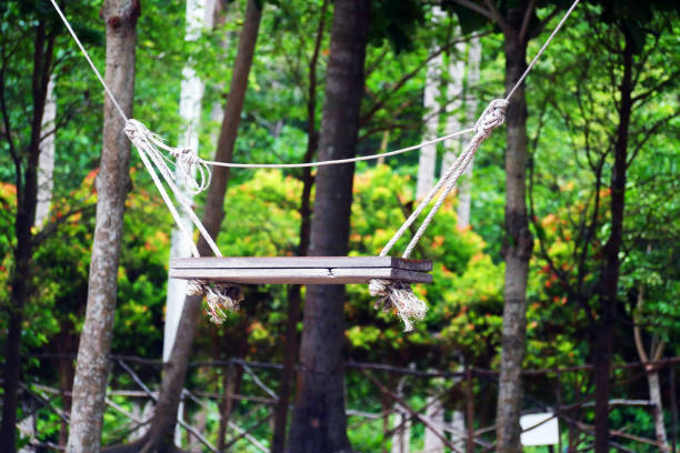 An empty swing in the middle of the forest