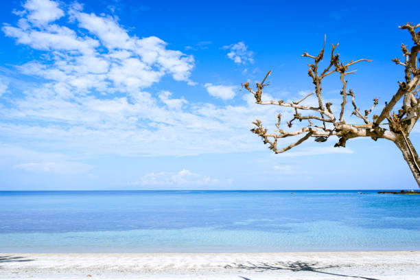 Aglicay Beach Resort, located on Tablas Island in Romblon, Philippines, offers a picturesque getaway with its beautiful white sand beach and crystal-clear waters.