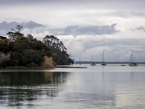 istock Auckland coastline at winter 2182583935