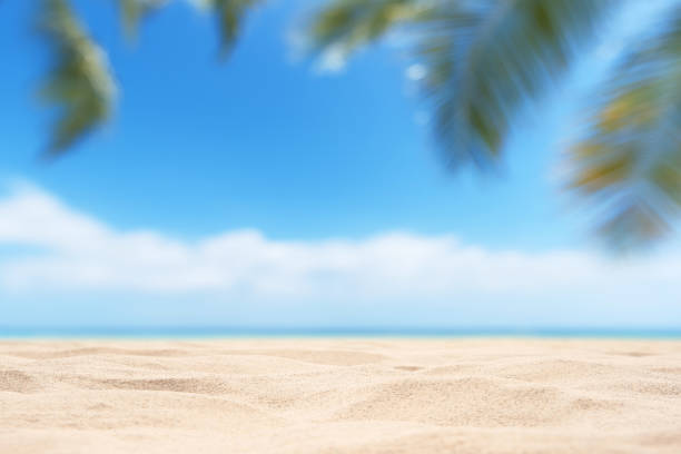 istock Empty tropical sand beach with palm leaf and clear sky abstract background 2182584217