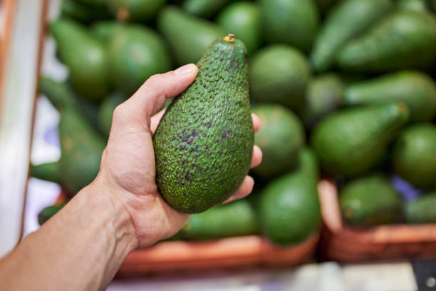istock Fresh green avocado in hand 2182594177