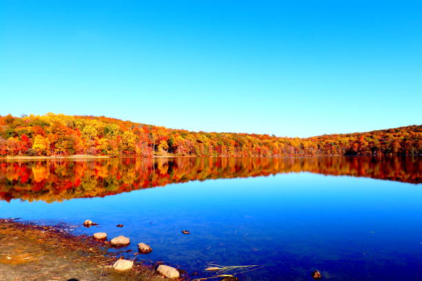 istock Autumn Landscape, foliage, magic of fall 2182594363