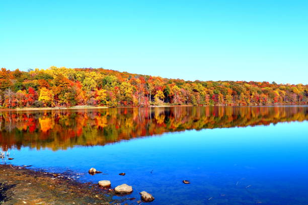 istock Autumn Landscape, foliage, magic of fall 2182594399