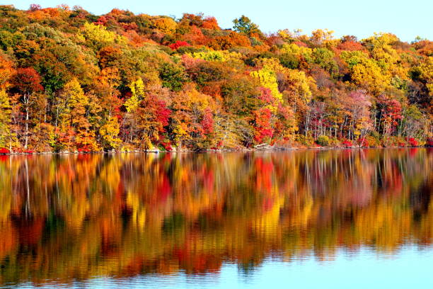 istock Autumn Landscape, foliage, magic of fall 2182594491