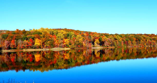 istock Autumn Landscape, foliage, magic of fall 2182594598