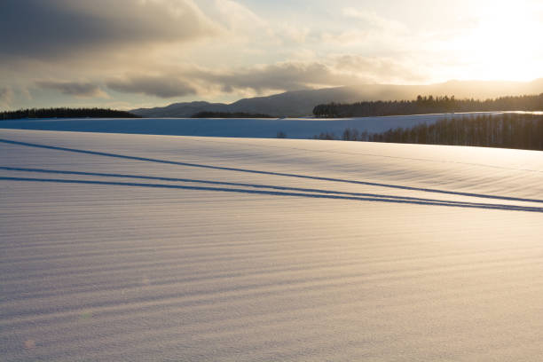 Snowfield reflecting the sun at dusk in winter