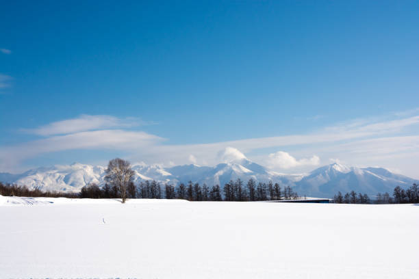 Snowfields and mountains with the blue sky