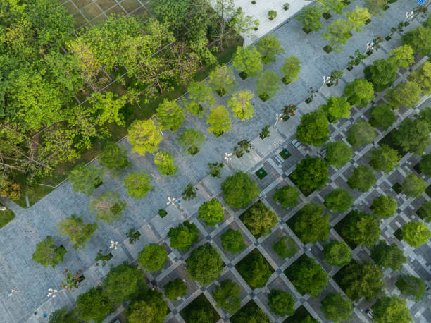 istock Aerial view of beautiful park landscape 2182597253