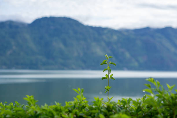Landscape of Laut Tawar lake in Takengon city, Indonesia. Popular tourist destination in Central Aceh.