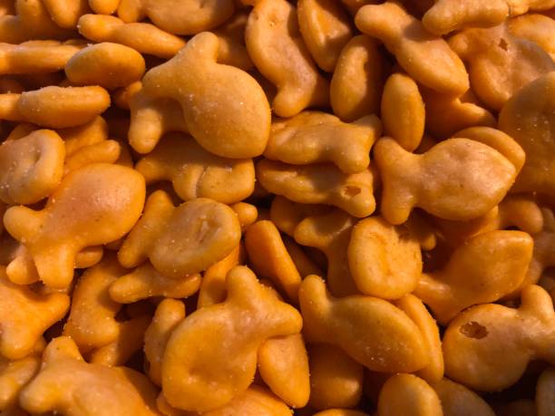 Cheddar Fish Snack Close up of cheddar cheese fish shaped crackers. goldfish snack stock pictures, royalty-free photos & images
