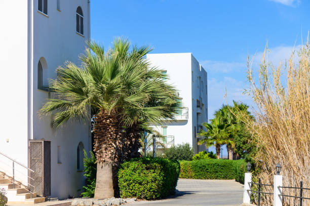 istock Sunny coastal pathway lined with palm trees and modern white buildings under a clear blue sky 2182603754
