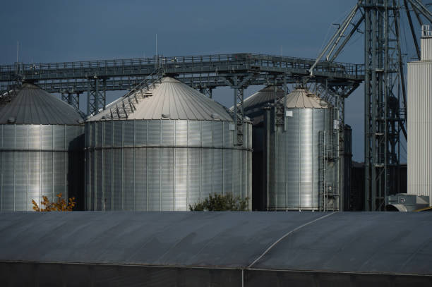 A close-up view of large metallic silos in an agricultural processing facility under a clear sky. The image highlights industrial storage structures essential for grain and other agricultural products.