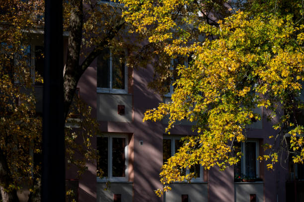 Apartment balconies with metal railings are illuminated by sunlight, with an autumn tree adding color to the scene. The mix of outdoor furniture and personal items reflects the lived-in feel of an urban residential area.