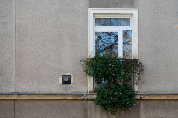 A window adorned with a flower box filled with green foliage and blooming flowers is set against a textured wall. The scene reflects a touch of nature in an urban environment, adding charm to the building's exterior.