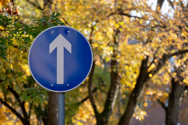 A blue one-way traffic sign with an upward-pointing arrow is set against a background of autumn trees with golden leaves. The vibrant seasonal foliage contrasts with the sign, creating a visually appealing street scene.