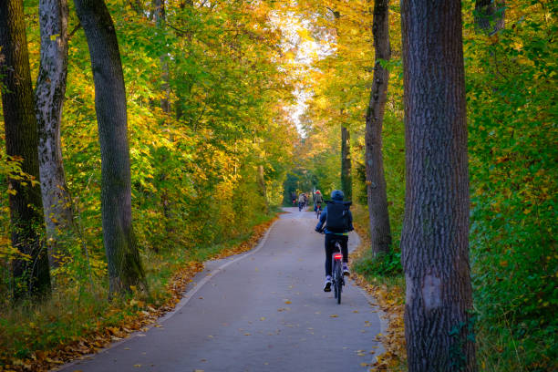 October 21, 2024 - Munich Germany,: Cyclists in the morning on a cycle path in with colorful trees near the Isar river in Munich, Germany