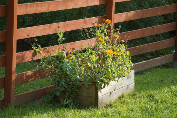 istock Potted plant next to a fence 2182610002
