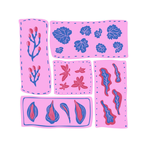 Stylized leaves, berry and plants emblem. Hosta, geranium and various floral elements. Vibrant organic shapes in square segment. Vector hand drawn flat illustration. Stylized leaves, berry and plants emblem. Hosta, geranium and various floral elements. Vibrant organic shapes in square segment. Vector hand drawn illustration. hosta plants pics stock illustrations