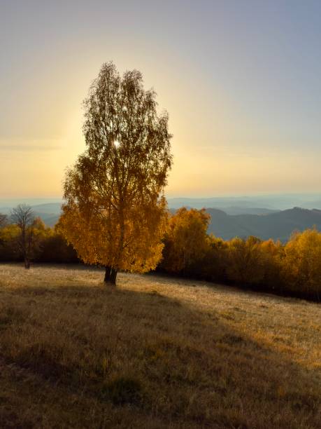 Beautiful autumn colors in Transilvania, Romania