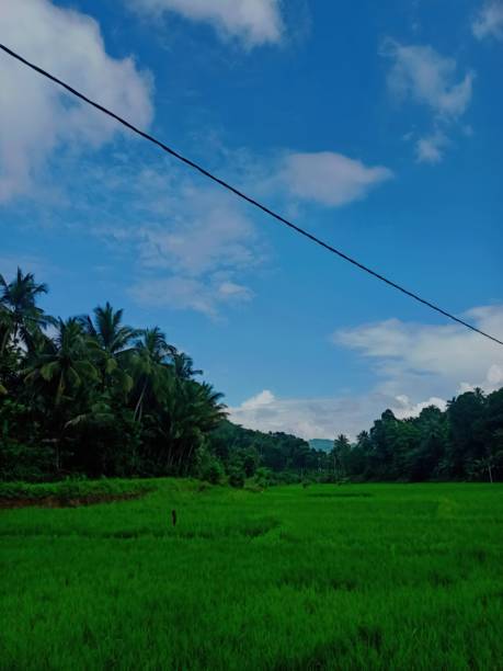 istock Green Field nature photography 2182611371