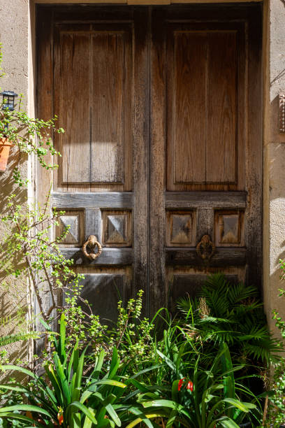 istock Old wooden door 2182611761