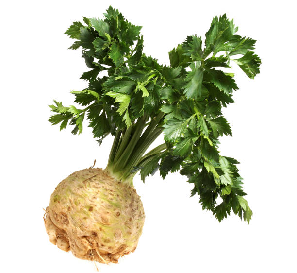 celery celeriac on white background Celeriac stock pictures, royalty-free photos & images