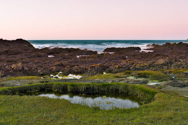 istock Titahi Bay, Wellington 2182615289