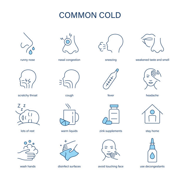 illustrations, cliparts, dessins animés et icônes de symptômes du rhume, diagnostic et ensemble d’icônes vectorielles de traitement. icônes médicales. - symptome