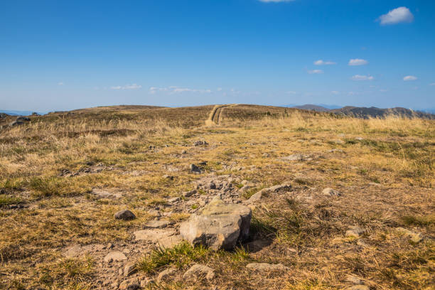 A peaceful and tranquil mountain landscape beautifully showcasing a rocky summit alongside golden grass below