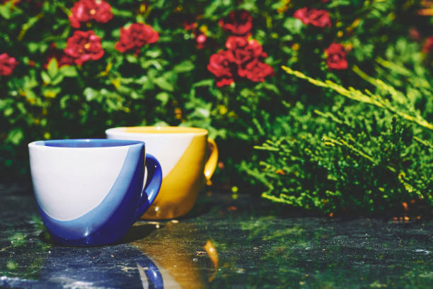 cease work or movement in order to relax, refresh oneself, or recover strength