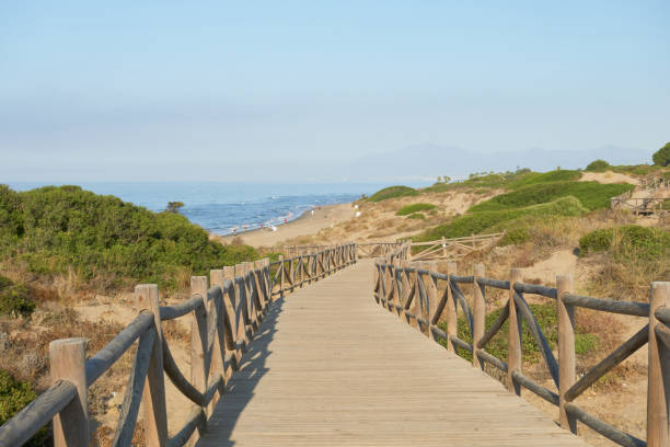 istock Wooden walkway to the beach 2182625154