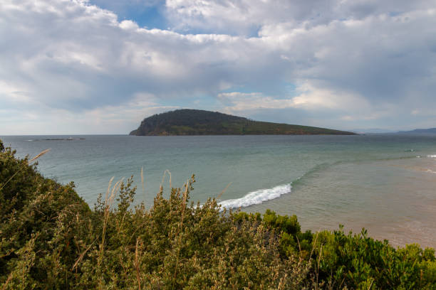 View of Betsy Island and black jack rocks from Goat's bluff lookout, south arm, Tasmania, Australia