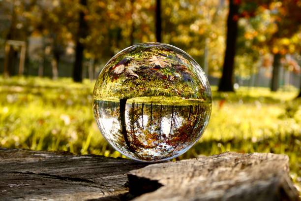 istock Crystal ball on tree trunk in park during sunrise 2182628128