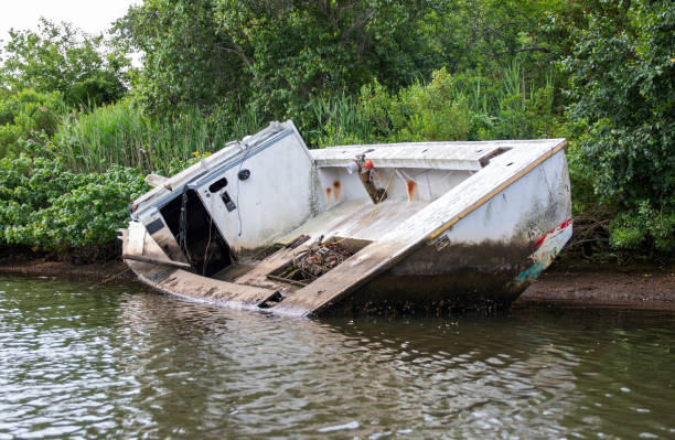 Abandoned Boat Tilting in Shallow Waters Surrounded by Lush Greenery on a Calm Day